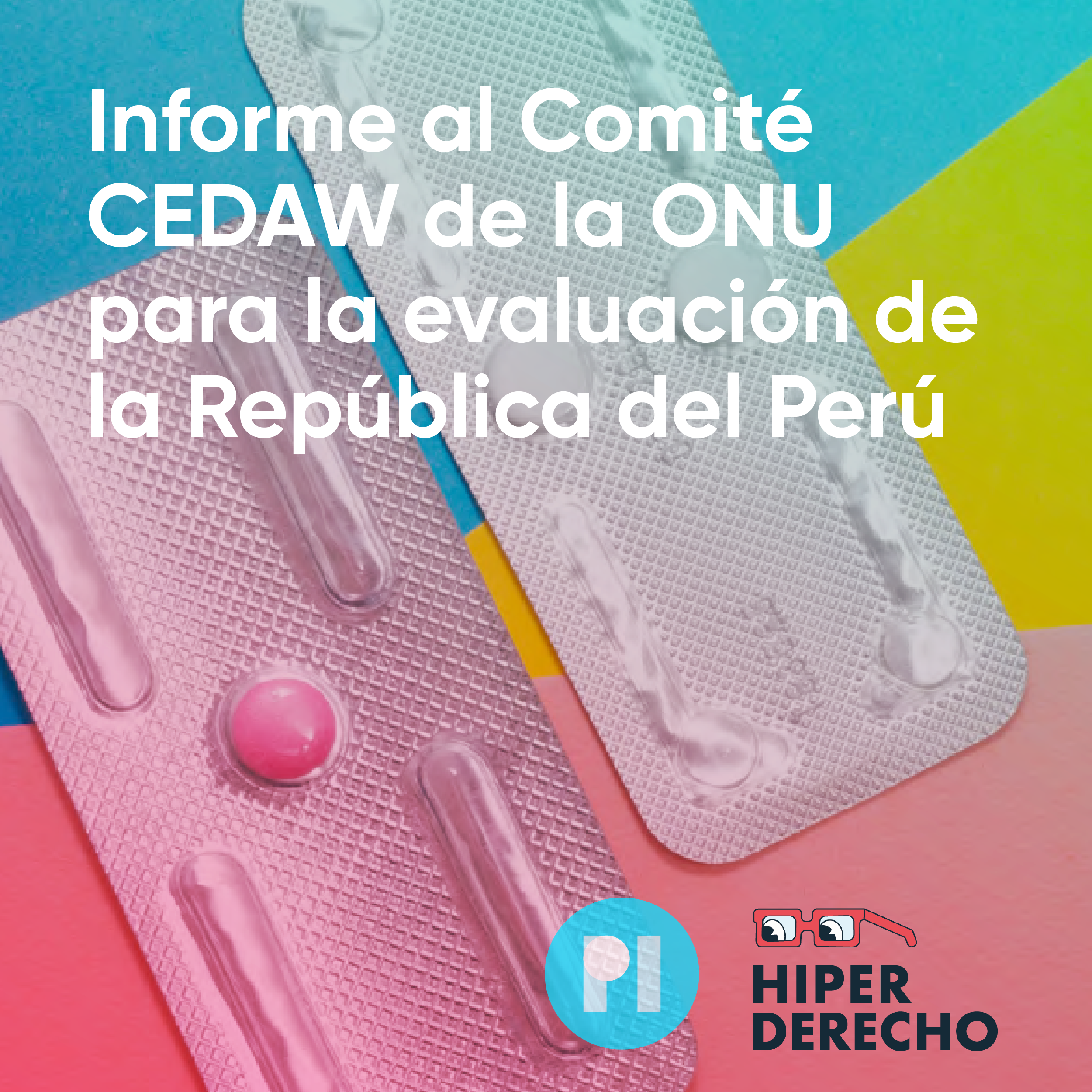 Presentamos El Informe Alternativo Al Comit Cedaw De La Onu Para La