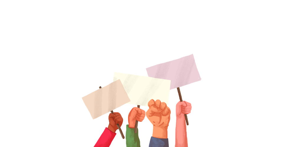 Ilustración sección 8
